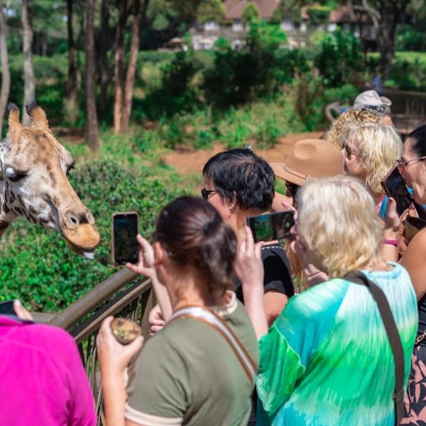 Kenyan Wildlife Culture & Beach Tour (Lodges and Camping) 10 Days