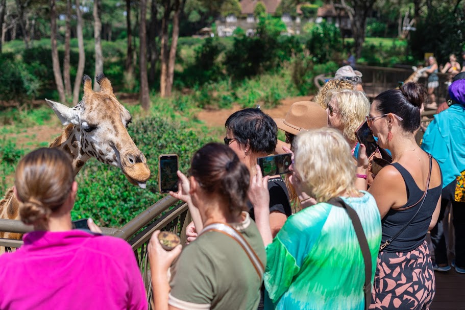 Kenyan Wildlife Culture & Beach Tour (Lodges and Camping) 10 Days